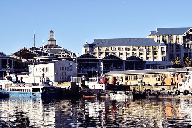 Half Hour Seal and Harbour Cruise from Cape Town - Weather, safety, and what happens if conditions change