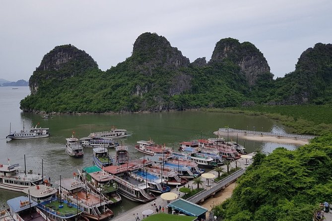 Halong Bay Cruise Tour from Hanoi with Kayak Adventure - Thien Cung Cave: stalactites, stalagmites, and the main stop