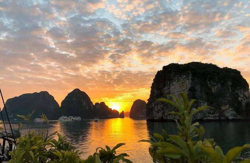 Hanoi: Full-Day Halong Bay Cruise with Kayak, Caves & Lunch - Titop Island: Swim, Then Choose the Summit Views