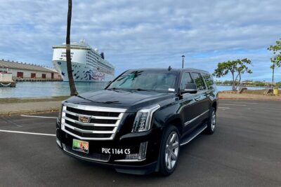 Honolulu Harbor Cruise Terminal Transfer by Luxury Vehicle - Getting to the cruise terminal: Pier 2, Pier 10, and Pier 11