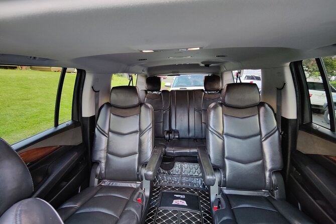 Honolulu Harbor Cruise Terminal Transfer by Luxury Vehicle - Price and value: is $105 per group a smart move?