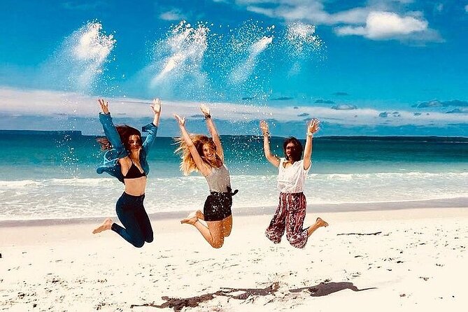 Jervis Bay Tour with Dolphins, Kangaroos & World's Whitest Beach - Key Things to Know Before You Go