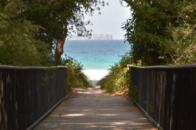 Jervis Bay Tour with Dolphins, Kangaroos & World's Whitest Beach - Between Sydney and the Coast: Quick Stops and Marine Park Context