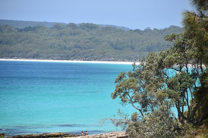 Jervis Bay Tour with Dolphins, Kangaroos & World's Whitest Beach - Huskisson Free Time: Food, Shops, and a Breather Before the Beaches