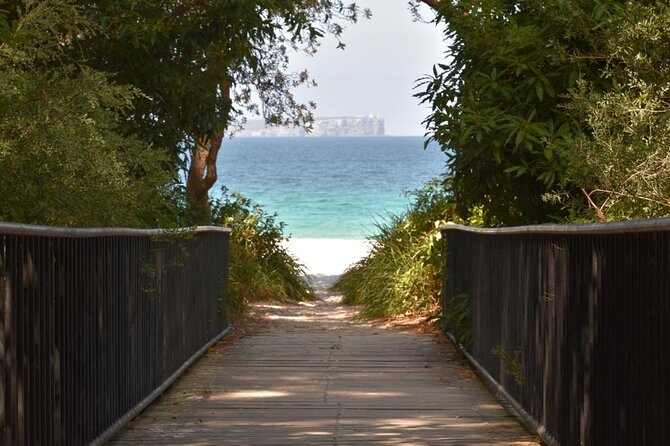 Jervis Bay Tour with Dolphins, Kangaroos & World's Whitest Beach - Between Sydney and the Coast: Quick Stops and Marine Park Context