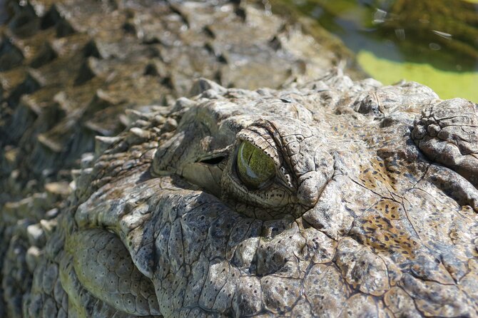 Miami and Everglades Adventure: Airboat & Bay Cruise Combo - The hidden value: you get two Miami “worlds” without renting a car