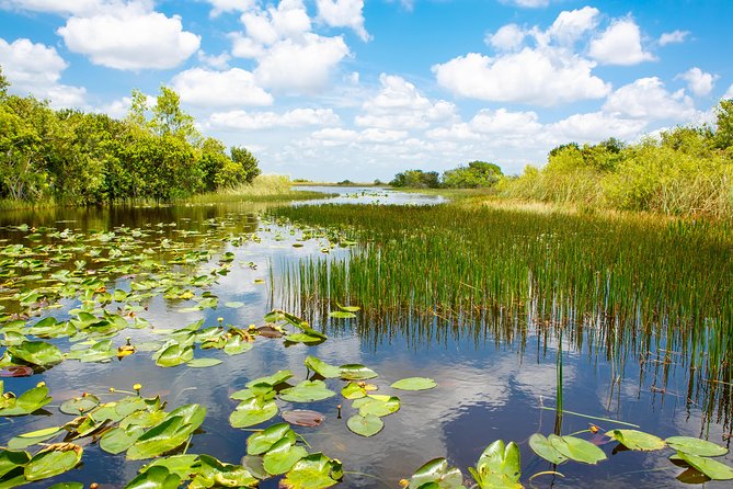 Miami and Everglades Adventure: Airboat & Bay Cruise Combo - What to bring and how to time your day
