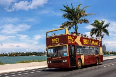 Miami Best Of Combo: Everglades, Bay Cruise, & Open-top Bus Tour - Everglades Airboat from Soundscape Park or Bayside Marketplace