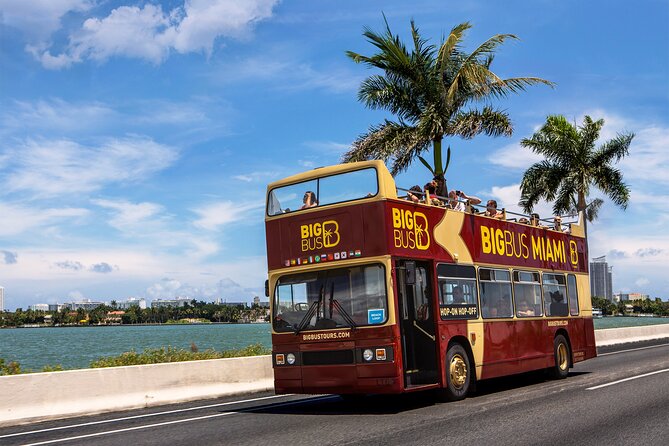 Miami Best Of Combo: Everglades, Bay Cruise, & Open-top Bus Tour - Everglades Airboat from Soundscape Park or Bayside Marketplace