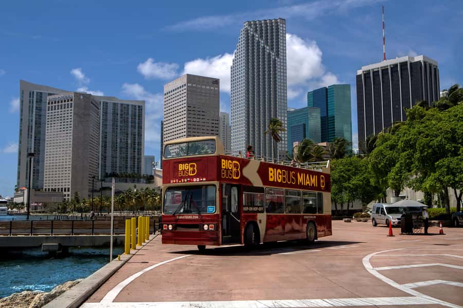 Miami: Everglades Experience, Bay Cruise & Open-top Bus Tour - How to schedule the three parts without getting stressed