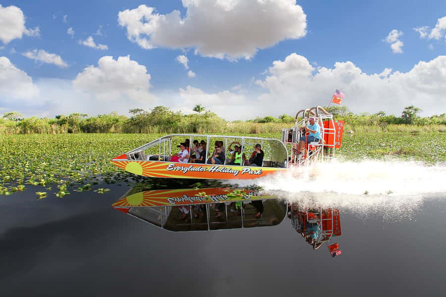 Miami: Everglades Experience, Bay Cruise & Open-top Bus Tour - What’s included (and how to use it)