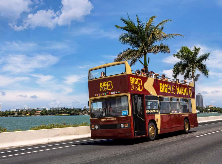 Miami: Everglades Experience, Bay Cruise & Open-top Bus Tour - Price vs. what you actually get