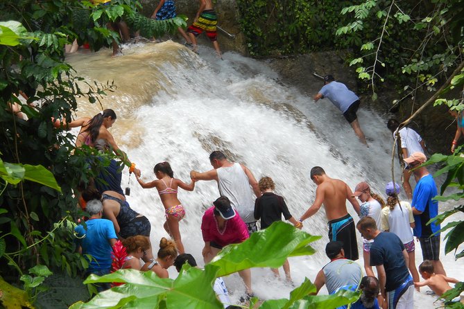 Montego Bay tour: Dunn's River Falls - Montego Bay Door-to-Door Pickup and North Coast Drive