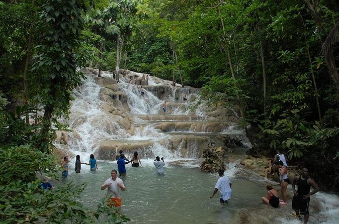 Montego Bay tour: Dunn's River Falls - Private Group Format: Why It Changes the Feel of the Day