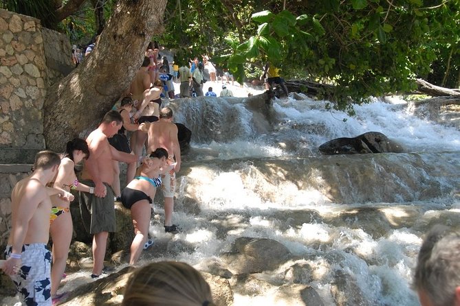 Montego Bay tour: Dunn's River Falls - Price and Value: What $171.09 Buys You in Montego Bay