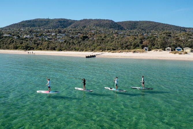 Mornington Peninsula Sightseeing and Bay Cruise - Price and value: is $121.21 a fair deal?