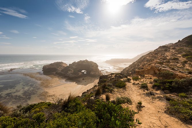 Mornington Peninsula Sightseeing and Bay Cruise - Sorrento Pier and the Searoad Ferry crossing: what’s actually included