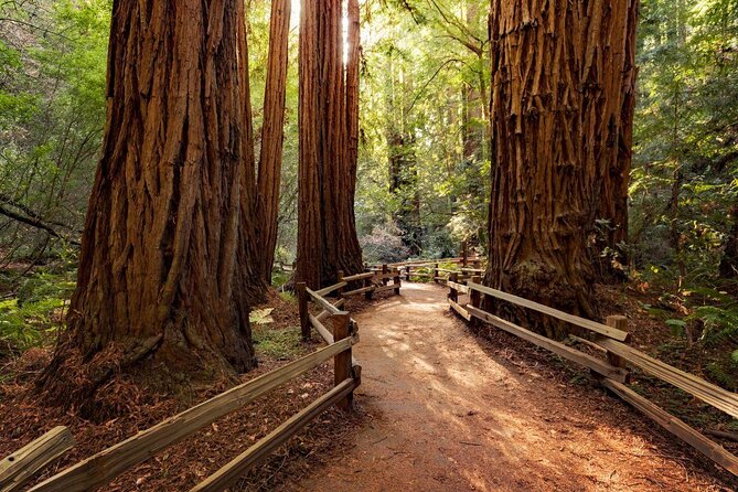 Muir Woods and Sausalito Tour Plus Bay Cruise - Key highlights you’ll feel right away