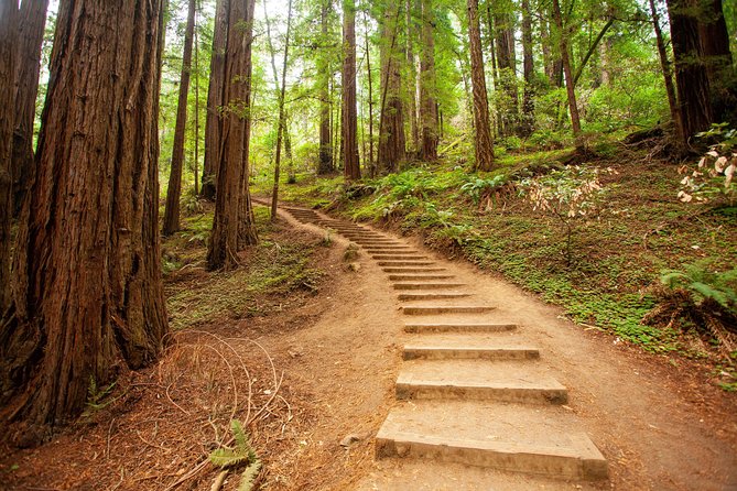 Muir Woods and Sausalito Tour Plus Bay Cruise - Why this Muir Woods plus Sausalito day makes sense