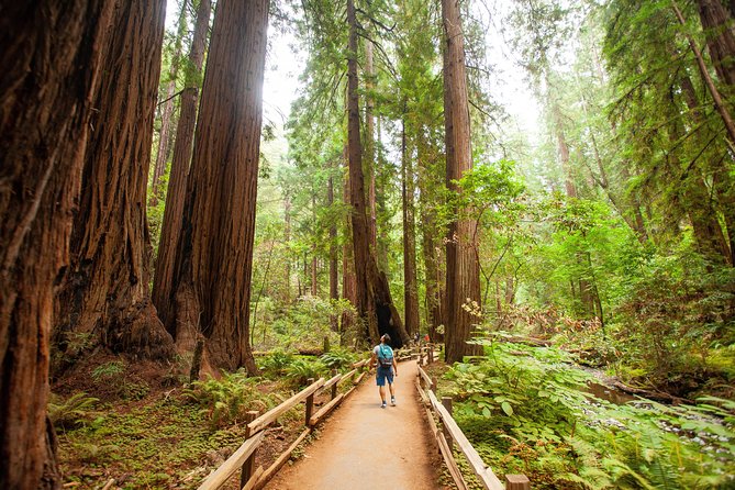 Muir Woods and Sausalito Tour Plus Bay Cruise - Sausalito waterfront hour: shopping, art galleries, and a slower pace