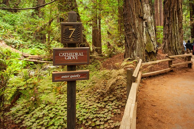 Muir Woods and Sausalito Tour Plus Bay Cruise - Timing changes you should plan around