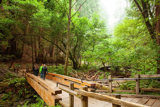 Muir Woods and Sausalito Tour Plus Bay Cruise - Muir Woods: 90 minutes of old-growth calm (and what to do with it)