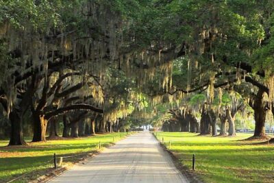 Myrtle Beach to Charleston with Horse & Carriage Ride, Harbor Cruise, Boone Hall - Historic Charleston by Horse & Carriage (Your Best Photo and Story Stop)