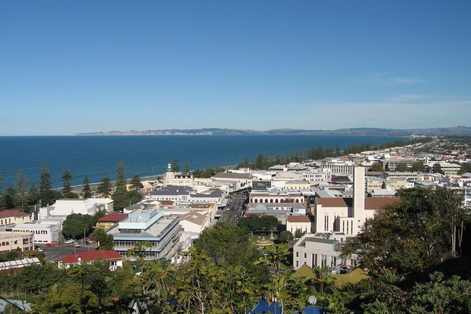 Napier Shore Excursion: City Sights and Hawke's Bay Tour - Key Highlights You’ll Actually Care About