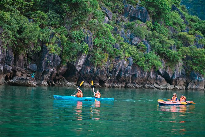 New Cruise Ha Long - CATAMARAN PREMIUM - Why this premium catamaran day fits first-timers