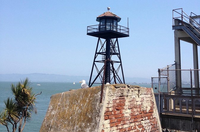 Official Alcatraz Tour with Golden Gate Bridge Bay Cruise - Price and value: what $148 buys you