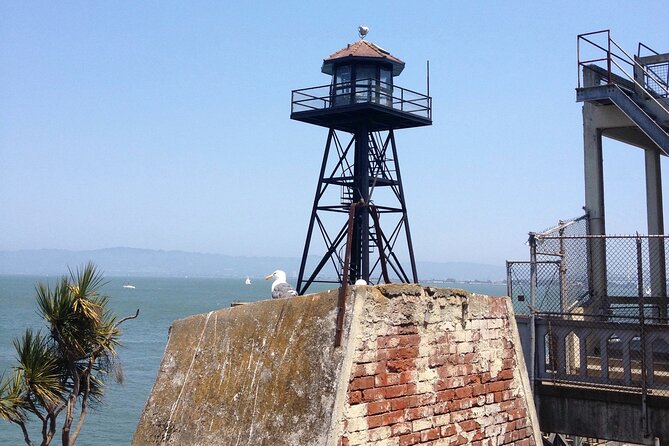 Official Alcatraz Tour with Golden Gate Bridge Bay Cruise - Logistics that can make or break your day: don’t miss the second boat