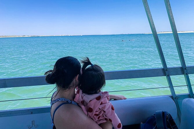 Pensacola Beach Jolly Dolphin Cruise and Scenic Bay Tour - A shaded 42-foot tritoon means the ride feels easier