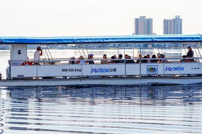 Pensacola Beach Jolly Dolphin Cruise and Scenic Bay Tour - Wildlife extras: when birds, rays, and turtles steal the show