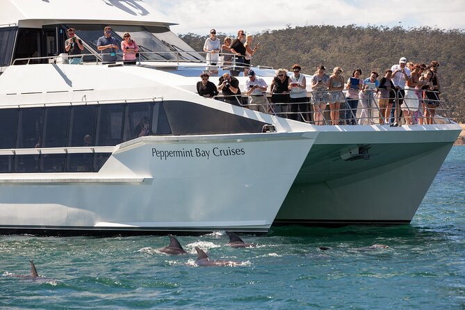 Peppermint Bay Cruise & Lunch - Key things to know before you go
