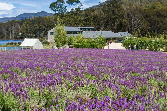 Port Arthur and Tasman Sights with Harbour Cruise - Practical tips before you go