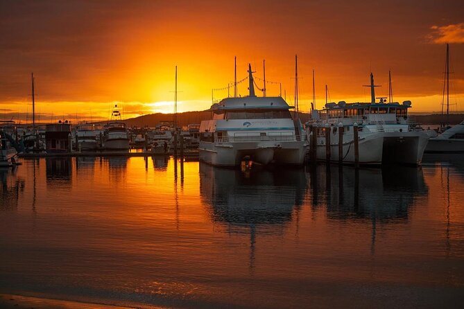 Port Stephens: Sunset on the Bay Cruise - Key things to know before you go