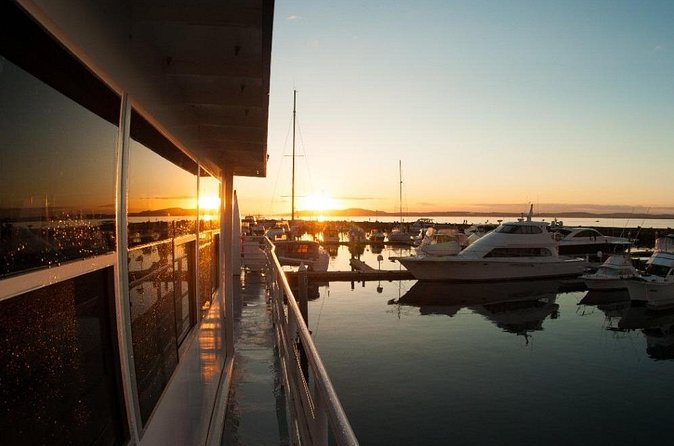 Port Stephens: Sunset on the Bay Cruise - Marine life moments: dolphins can show up
