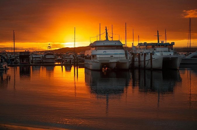 Port Stephens: Sunset on the Bay Cruise - Food and drinks: what you’re paying for (and what you need to plan)