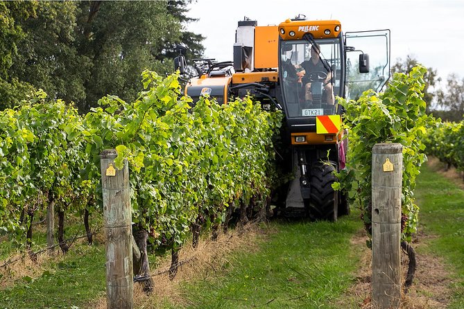 Premium 4 -Best Wineries Napier Hawke's Bay Tour, 5.5h - 6Hours - Key highlights at a glance
