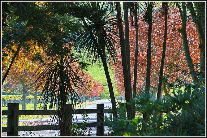 Premium 4 -Best Wineries Napier Hawke's Bay Tour, 5.5h - 6Hours - The guide + winery staff factor: why your questions matter here