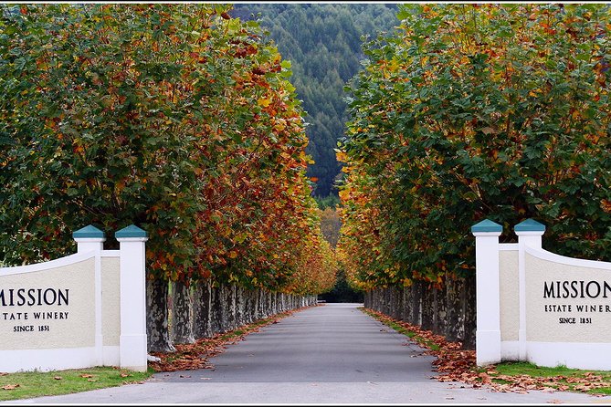 Premium 4 -Best Wineries Napier Hawke's Bay Tour, 5.5h - 6Hours - Buying bottles and shipping home: ask before you leave