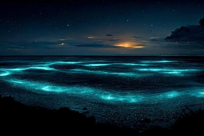 Private Bioluminescent Bay Tour - Key Things You’ll Want to Know Before You Go