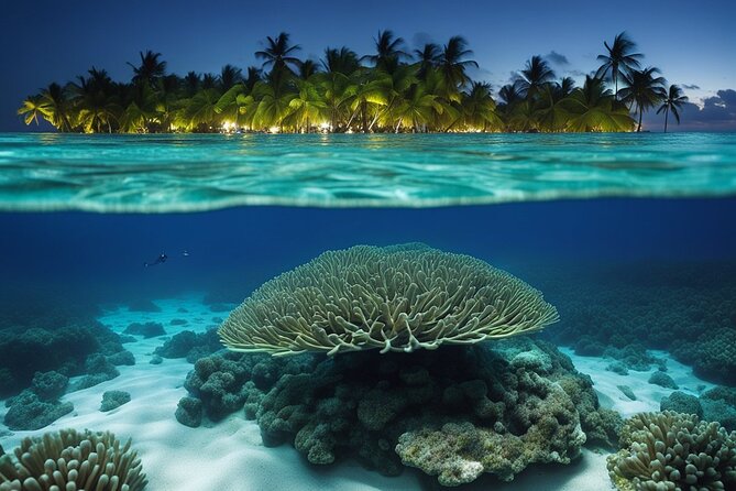 Private Bioluminescent Bay Tour - The 7:00 pm Plan: Boarding at the Cayman Islands Yacht Club