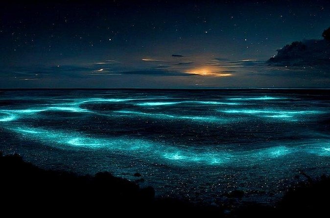 Private Bioluminescent Bay Tour - Stop 2: Bioluminescent Bay Snorkeling (How to Create the Best Glow)
