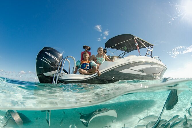 Private Bioluminescent Bay Tour - Price and Value: $600 for Up to 10 (What You’re Really Paying For)