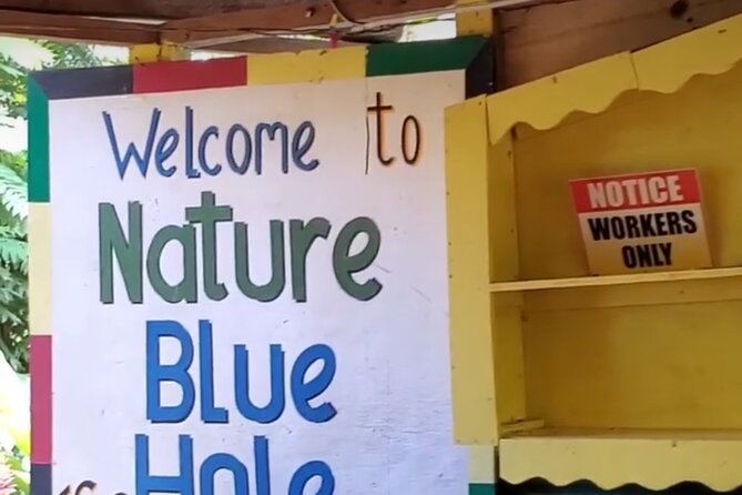 Private Dunns River Falls and Blue Hole from Montego Bay Tour - Blue Hole: rope swing, waterfall time, and the Kemmy and Kevin safety factor