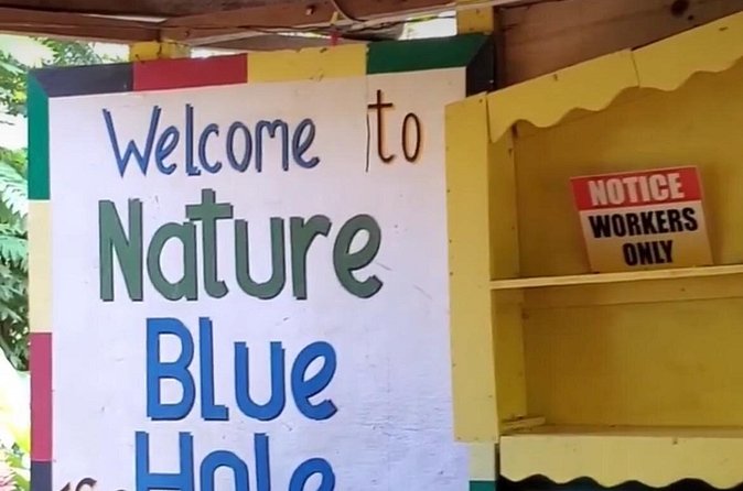 Private Dunns River Falls and Blue Hole from Montego Bay Tour - What to pack for falls, rope swings, and a long day in the sun