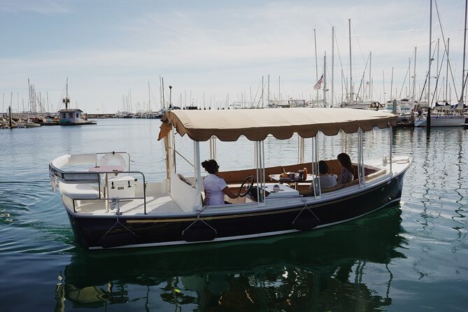 Private Harbor Cruise on Electric Boat in Santa Barbara - Private for up to six, with BYO snacks and no corkage