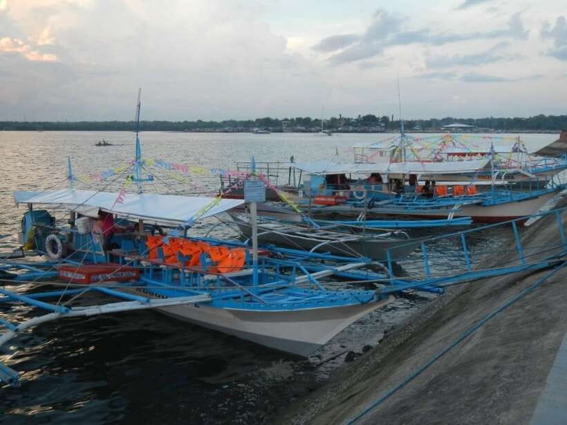Puerto Princesa: Firefly Watching Bay Cruise with Dinner - Fireflies After Dark: What You’ll See and How to Improve Your Odds