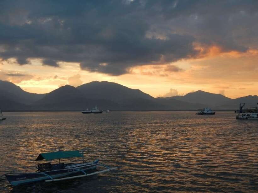 Puerto Princesa: Firefly Watching Bay Cruise with Dinner - The Water Lights: Bioluminescent Plankton in the Estuary